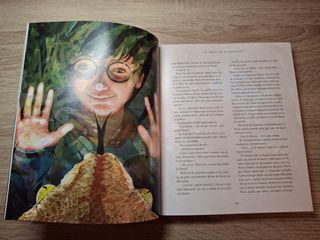 Harry Potter y la piedra filosofal (Tapa blanda...