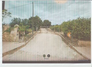 Finca rústica de limón ecológico