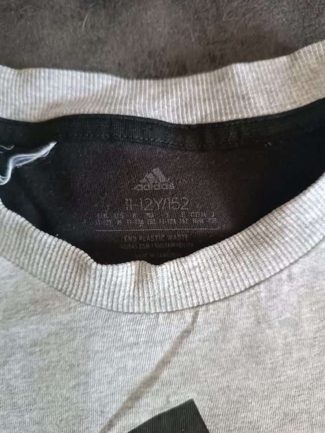 Lote Ropa Niño: 2 Camisetas, Polo y Chubasquero