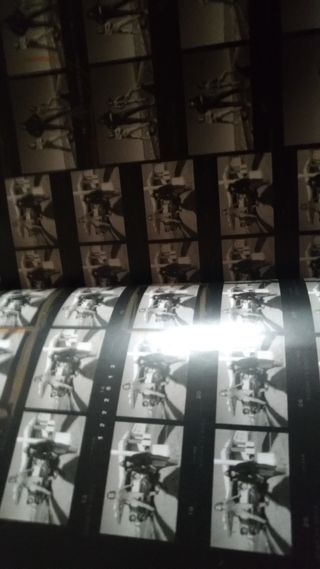 The Cult Sonic Temple 30 Aniversario