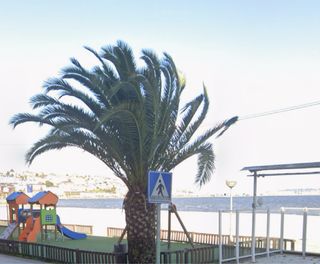 Se alquila cafeteria en Sada