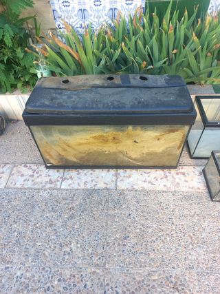 Pecera 60L
