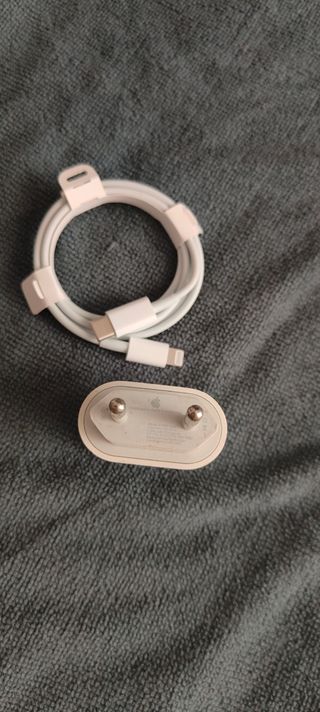 Caricatore e cavo Apple originale