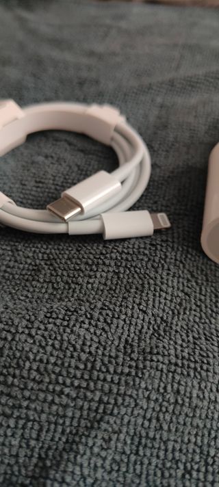 Caricatore e cavo Apple originale