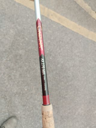 Caña Spinning Shimano Catana 2.70m