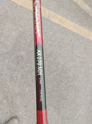 Caña Spinning Shimano Catana 2.70m