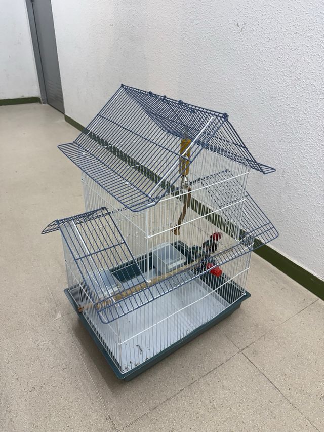 Jaulas para pájaros