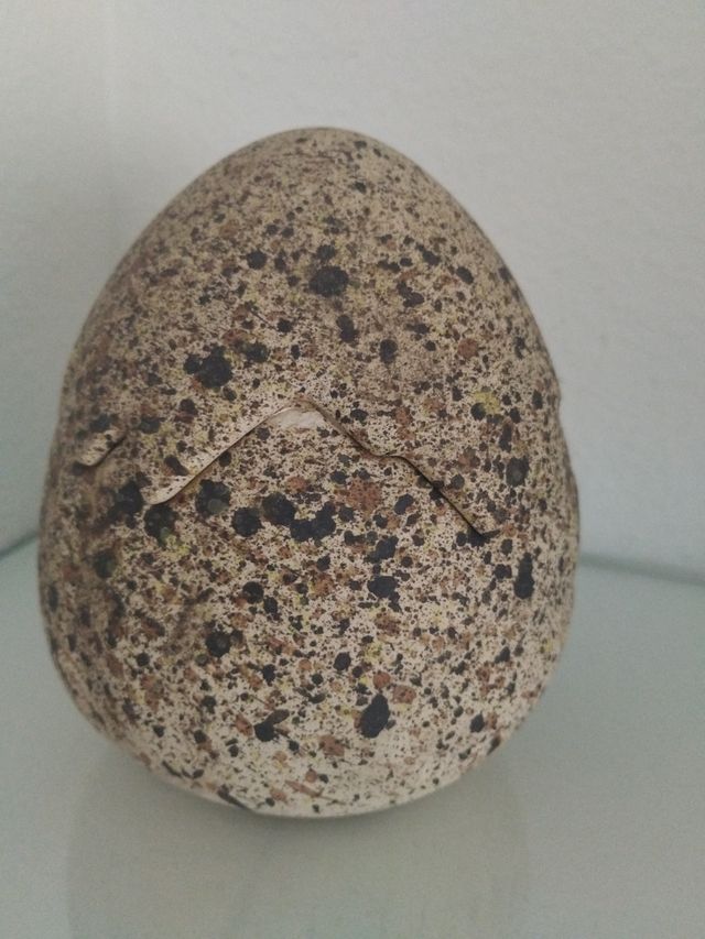 Quemador de incienso con forma de huevo