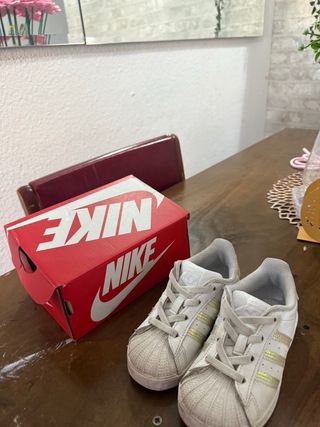 Zapatillas Nike Dunk Niñ@ Talla 22 
