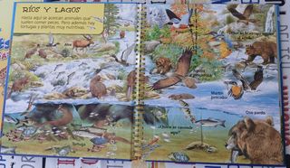 Libros infantiles de animales