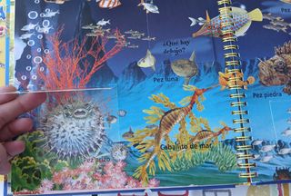 Libros infantiles de animales