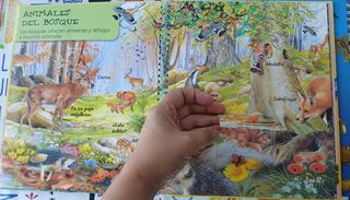 Libros infantiles de animales