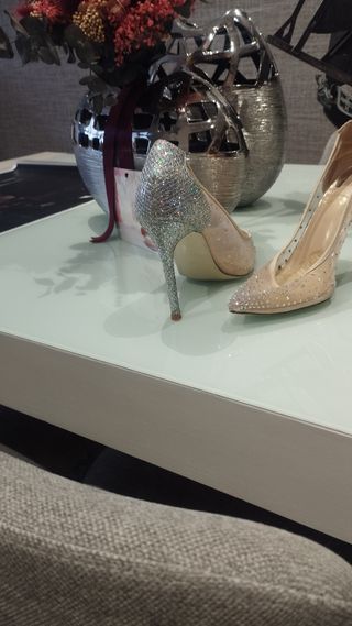 Zapatos de Novia Beige y Plateados.