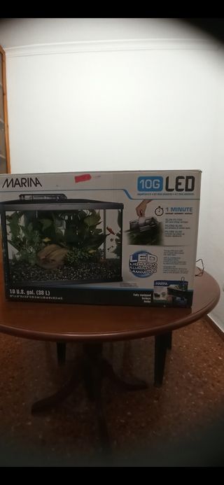 Acuario 38 litros