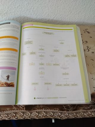 Biología. 2 Bachillerato. Savia