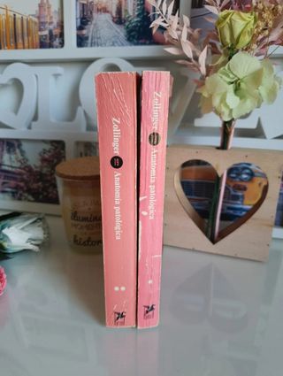 Lote 2 libros H.U. Zollinger: Anatomía Patológica 