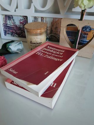 Lote 2 libros H.U. Zollinger: Anatomía Patológica 
