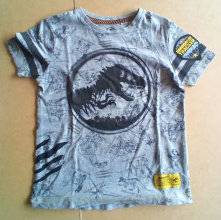 Lote 3 prendas niño 4-5 años