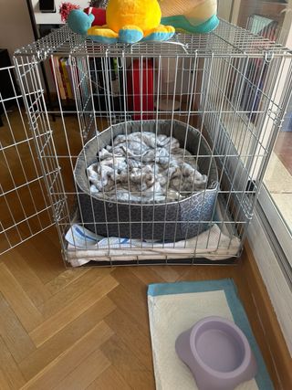 Crate para perros pequeños/medianos