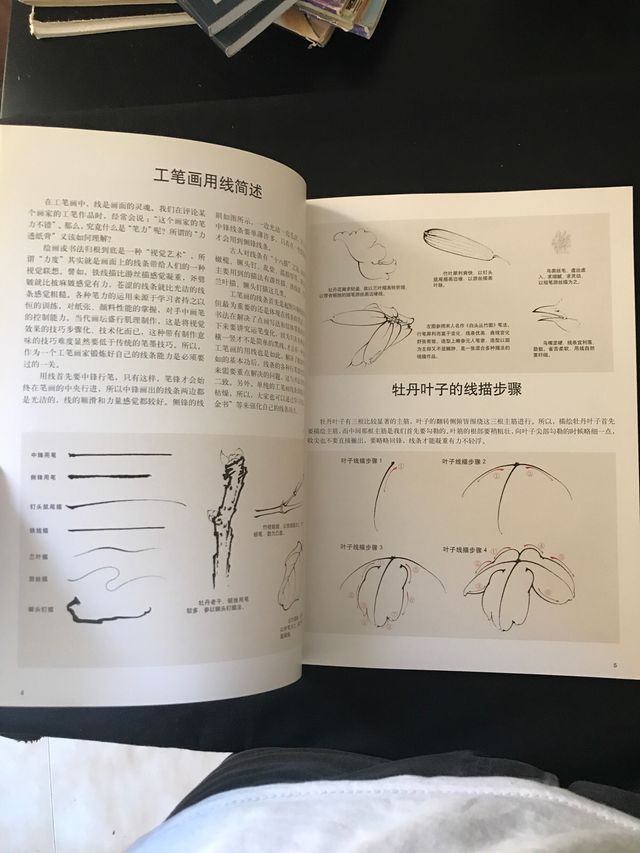 Realistic Penoy Coloring Skills (Chinese Edition)