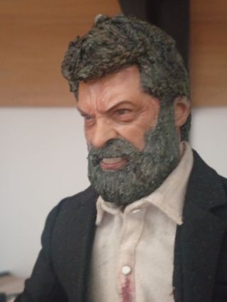 Figura Logan 1/6