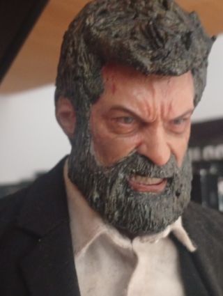 Figura Logan 1/6
