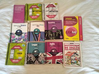 Varios diccionarios y cuadernos escolares