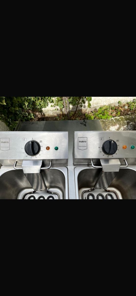 Friggitrice elettrica industriale doppia