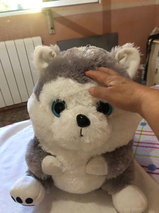 Peluche Husky Grande