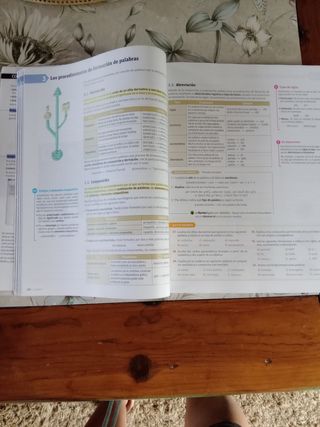 Lengua castellana y literatura. 1 Bachillerato....