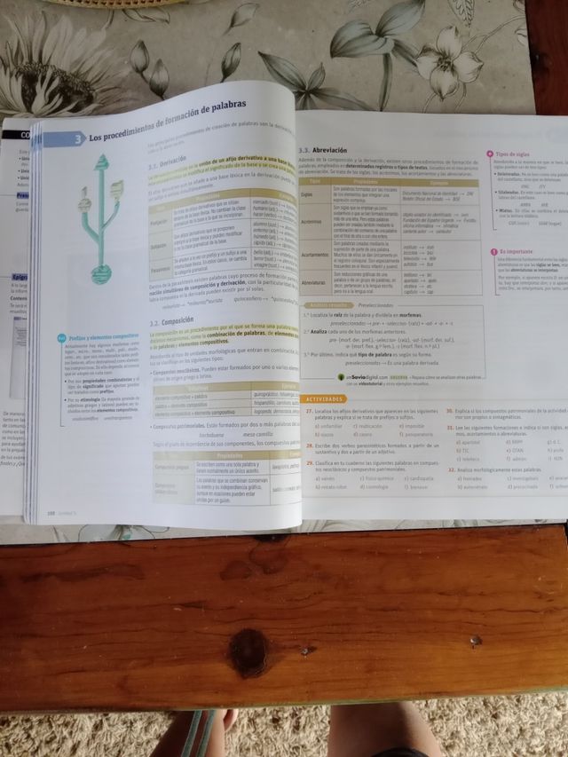 Lengua castellana y literatura. 1 Bachillerato....