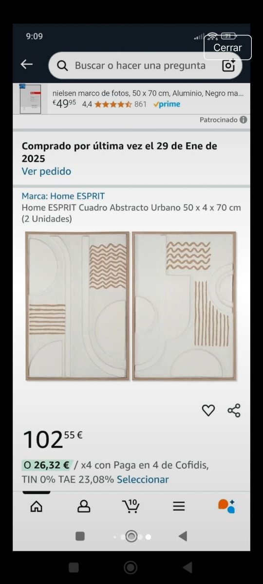 Cuadros Decorativos Home Esprit de 50cm por 70cm, 