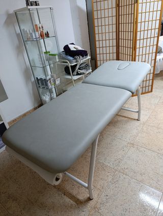 Camilla profesional ecopostural 