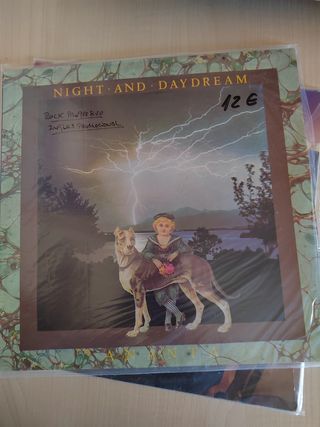 Vinilo Night and Daydream Rock Progresivo