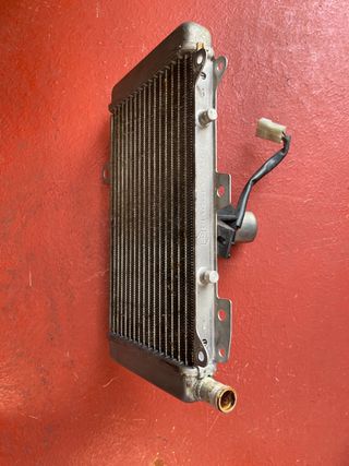 Radiador Piaggio X9 2003
