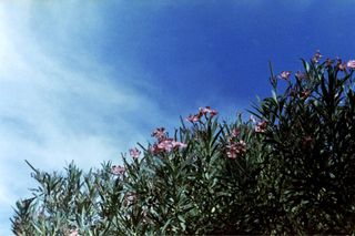 Cámara analógica Zenit 12 para piezas