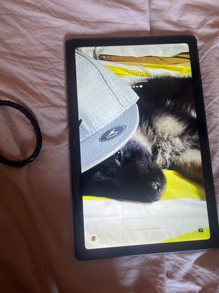 Samsung Galaxy Tab S7 Gris