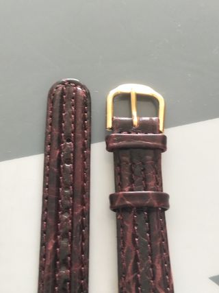 Correa de piel para reloj, chica, nueva