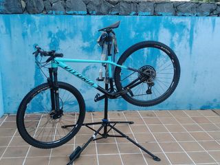 Bicicleta de Montaña Vitoria Carbono