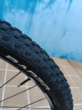 Bicicleta de Montaña Vitoria Carbono