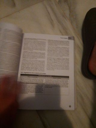 Geografía e historia, 3 ESO. Propuesta didáctica