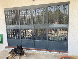 Puerta de hierro y cristal con rejas