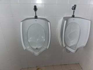Servicio de urinarios