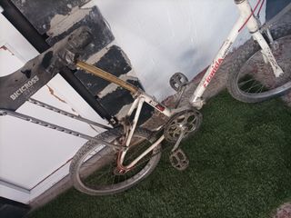 Bicicleta BH Florida Blanca