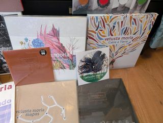 Discografía Vetusta Morla Vinilo