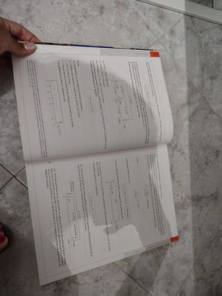 Contabilidad Financiera: Normas de Registro y V...