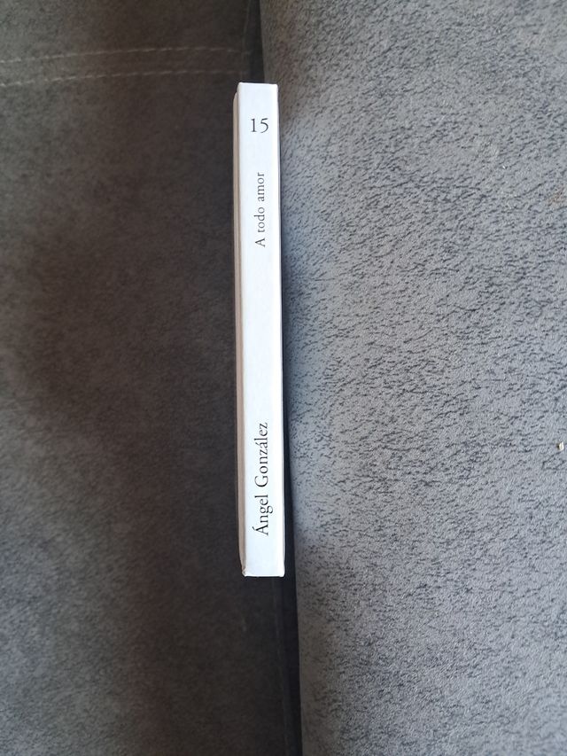 Ángel González: A TODO O AMOR