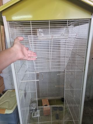 Jaula para pájaros verde oliva y blanca