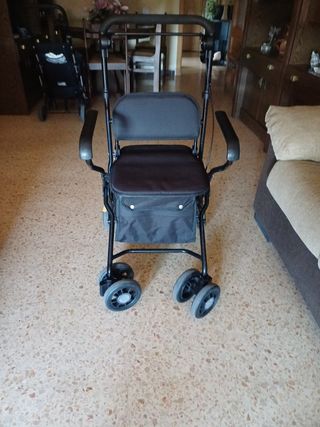 Carro andador con reposabrazos y cesto compra