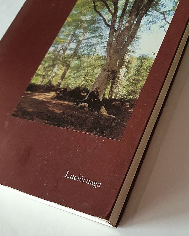 La enseñanza del árbol maestro (TESTIMONIOS Y V...